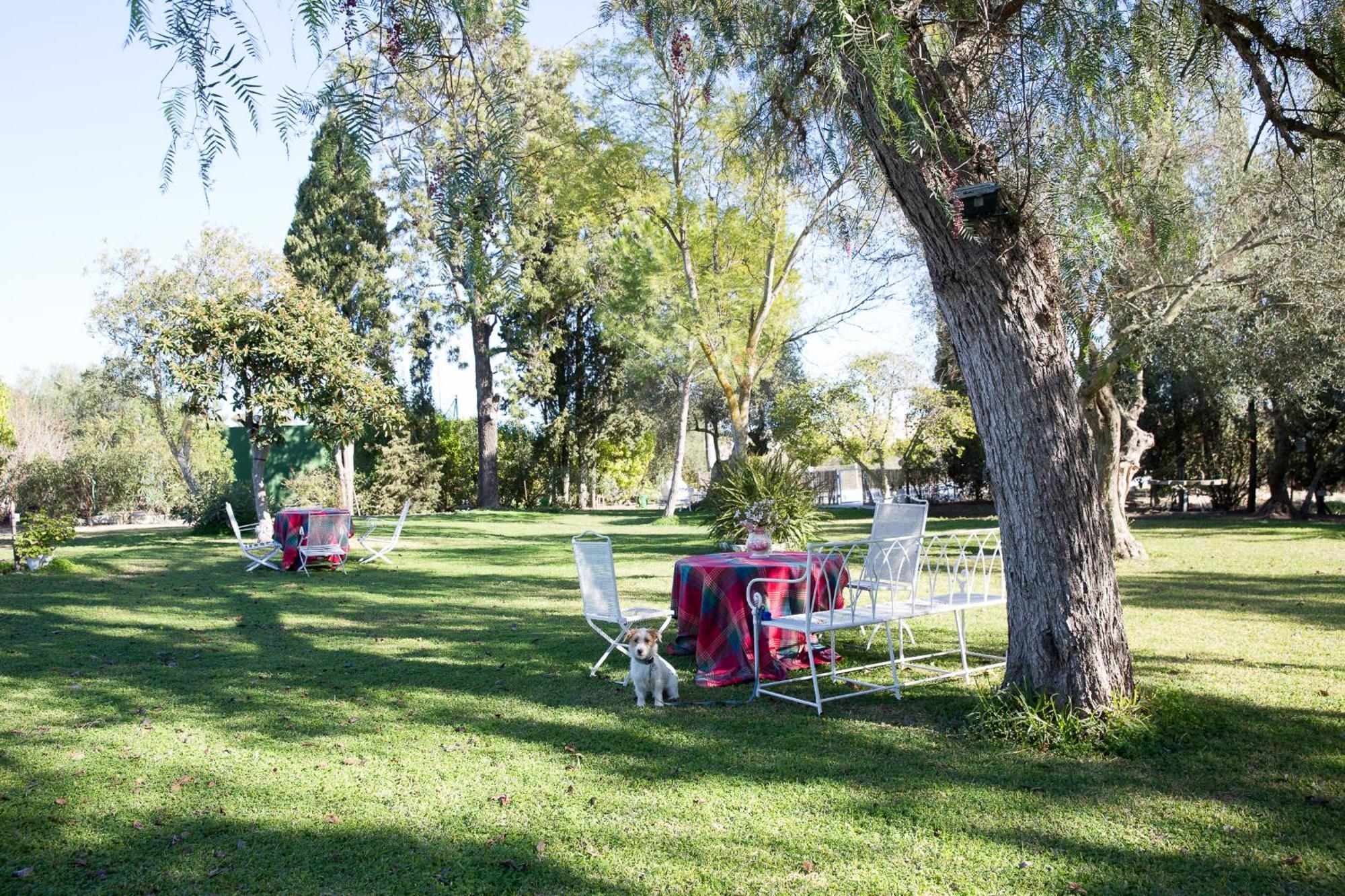 Вілла Cortijo Rural La Mariscala Херес-де-ла-Фронтера Екстер'єр фото