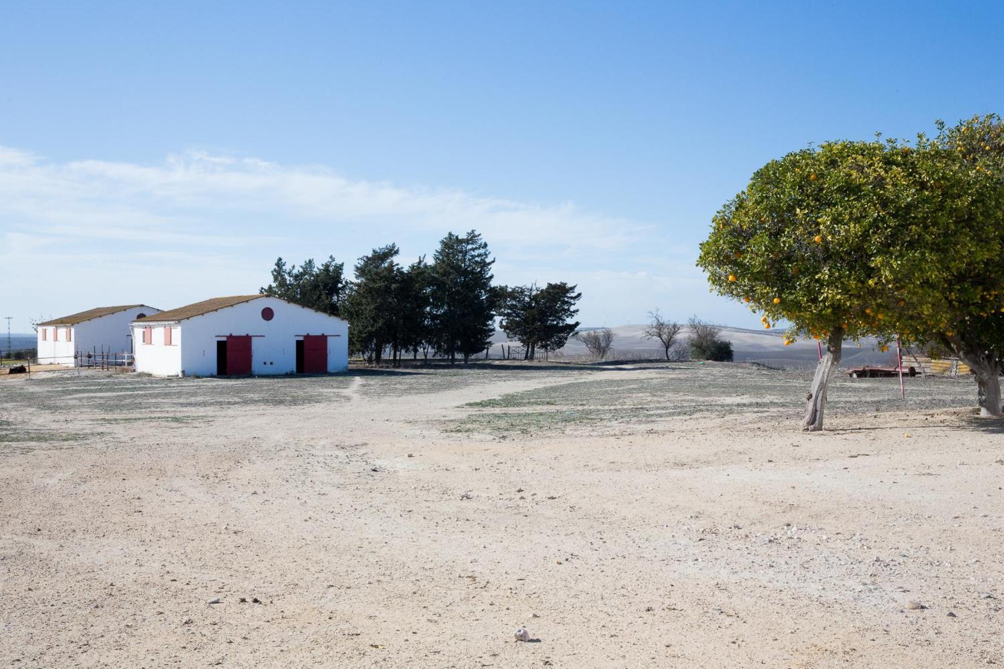 Вілла Cortijo Rural La Mariscala Херес-де-ла-Фронтера Екстер'єр фото