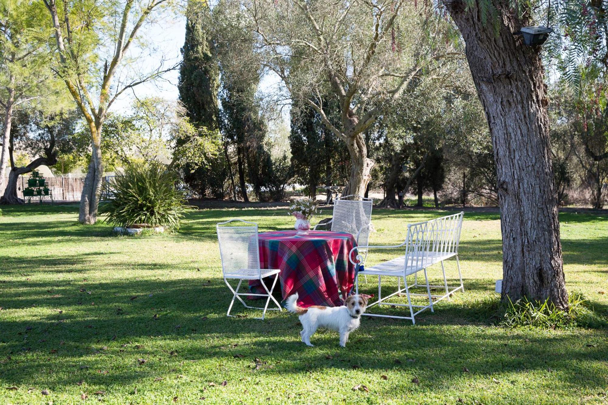 Вілла Cortijo Rural La Mariscala Херес-де-ла-Фронтера Екстер'єр фото